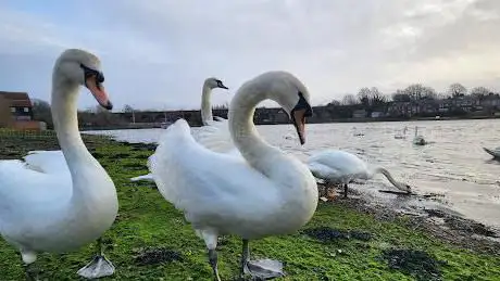 Upper Fareham Lake