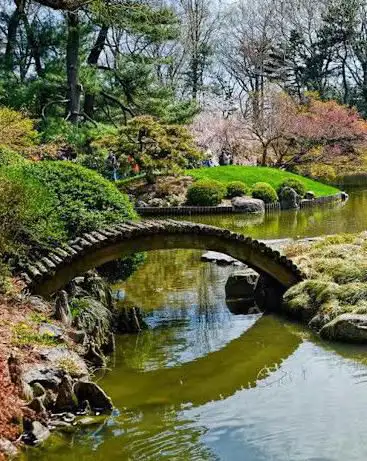 Brooklyn Botanic Garden