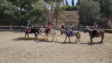 Escola d'equitació Oso Pony i Pony Club Sitges