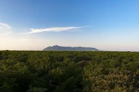 Riserva naturale Foresta demaniale del Circeo