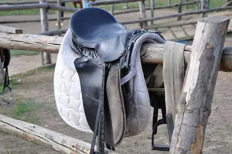 Beaumont Grange Farm Equitation Centre