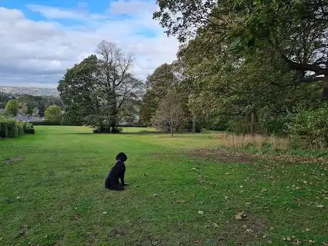 Bingham Park Woodland