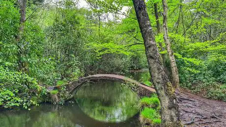 Moon bridge