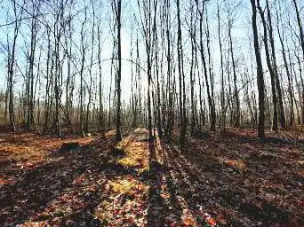 Espace naturel sensible de la forêt de Ranzey