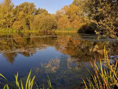 Skylarks Nature Reserve