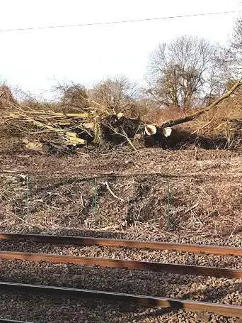 Office National des Forêts