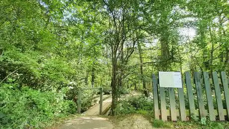 Stanney Woods (Stroma Gate)