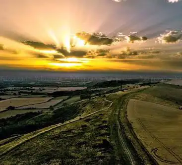 Benfield Hill Local Nature Reserve