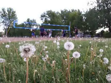 Terrain de beach-volleyball