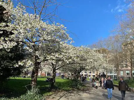 Saint Paul's Green