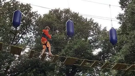 Trentham Treetop Adventures