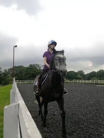 Little Leigh Farm Equestrian Centre