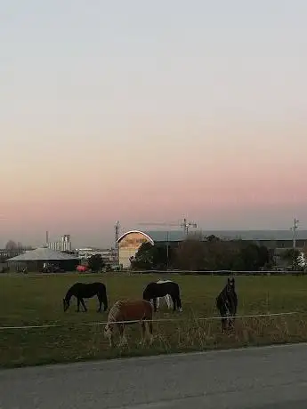 Centro Equestre La Favorita