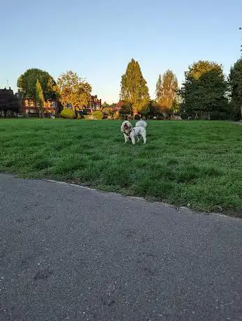 Stamford Brook Common