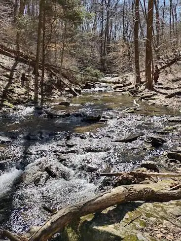 Steinman Run Nature Preserve