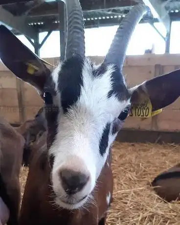 LA FERME D'OZANCE