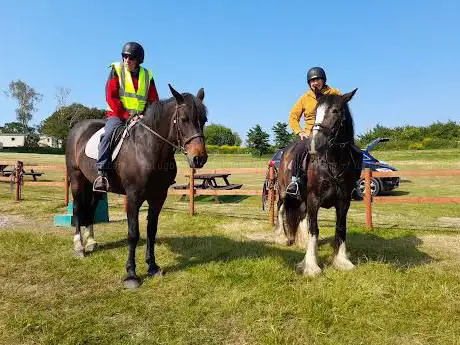 Sally's Riding School