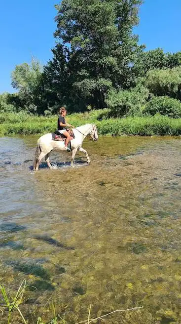 Écurie Les Crins de Pauline