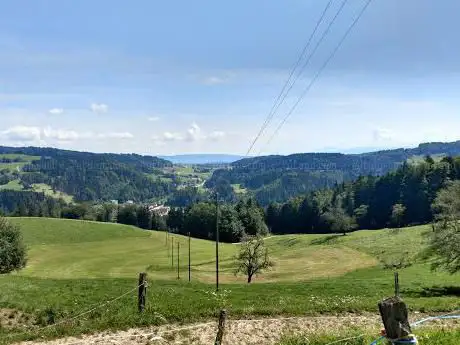 Ruine Hohenlandenberg