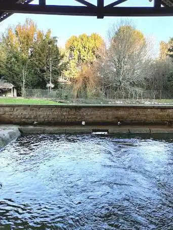 Fontaine Bouillonnante