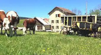 Musée de la Meunerie et d'histoire locale