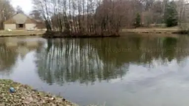 Etang du Chenois