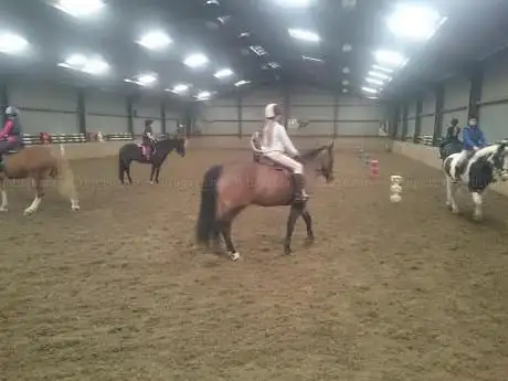 Aberconwy Equestrian Centre