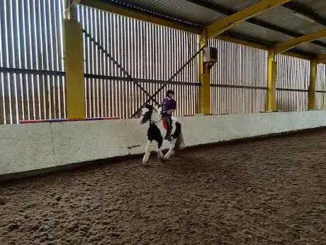 Cae Hic Livery & Riding Centre