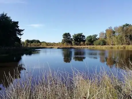 Skipwith Common