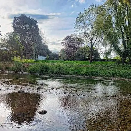 Bute Park River Side