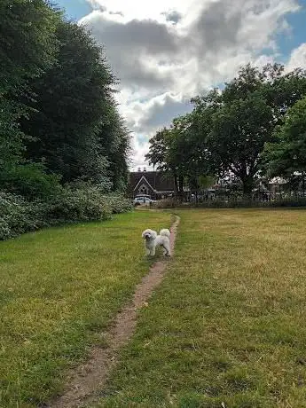 Putney Common