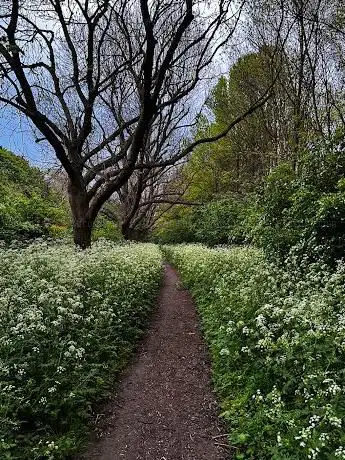 Wick Woodland