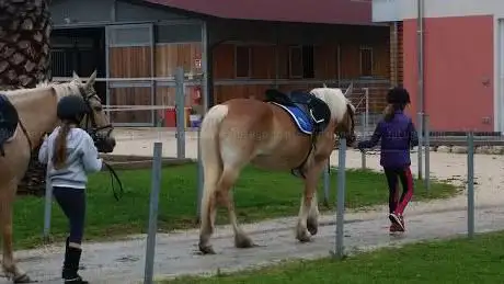 Centro Equestre La Sorgente Ssdrl