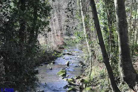 Porter Brook Trail - Endcliffe Park