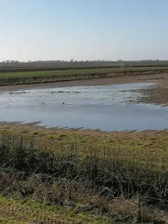 RSPB Hesketh Out Marsh