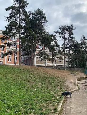 Espace canin : Allée des chiens du parc Georges Brassens