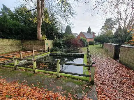 Bercul's Well