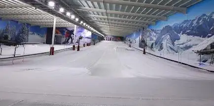 The Snow Centre