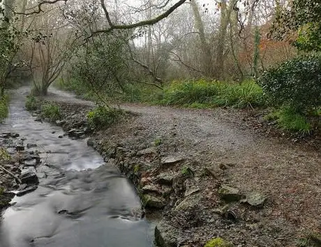 Tregoniggie Woodland