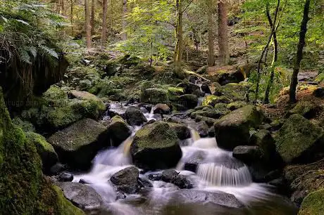 Wyming Brook