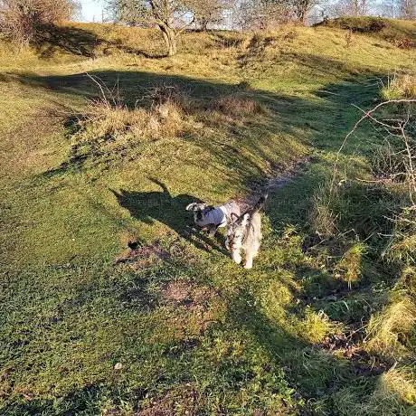 Barnack Hills and Holes National Nature Reserve