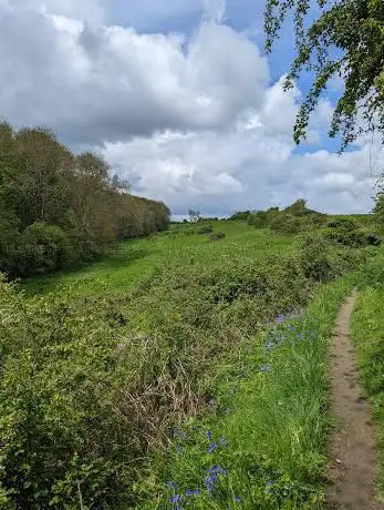 Ledsham Bank nature reserve