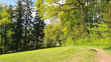 Eschlikon - Freudenberg Waldgebiet