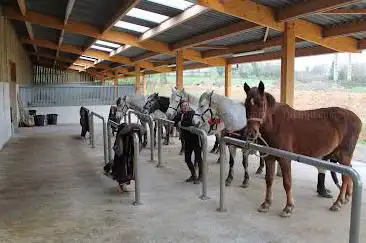 Poneys Club - Centre Equestre Mathilde Martel