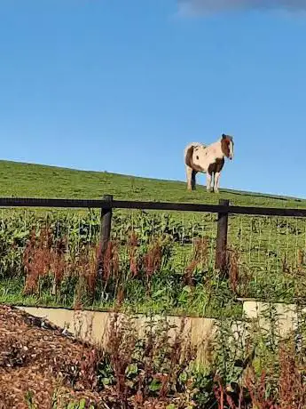 Lads Lodge Riding Centre