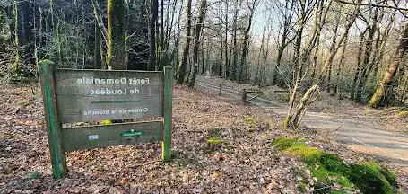 Forêt de Loudéac - Croisée de la Branche