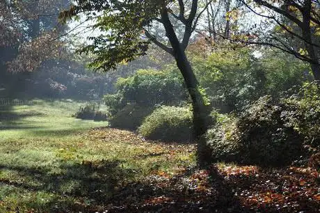 Arboretum de la Sédelle