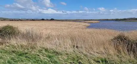 Oare Meadow