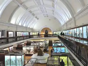 Horniman Museum and Gardens