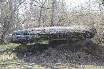 Dolmen de la Borie du bois